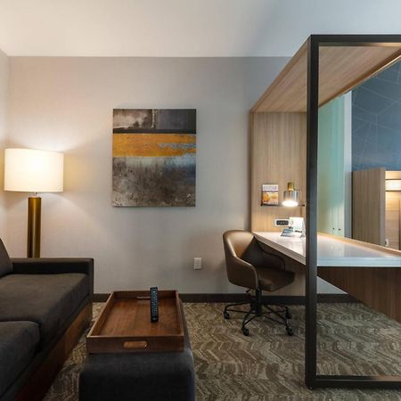 Springhill Suites By Marriott Chattanooga South/Ringgold Exterior foto