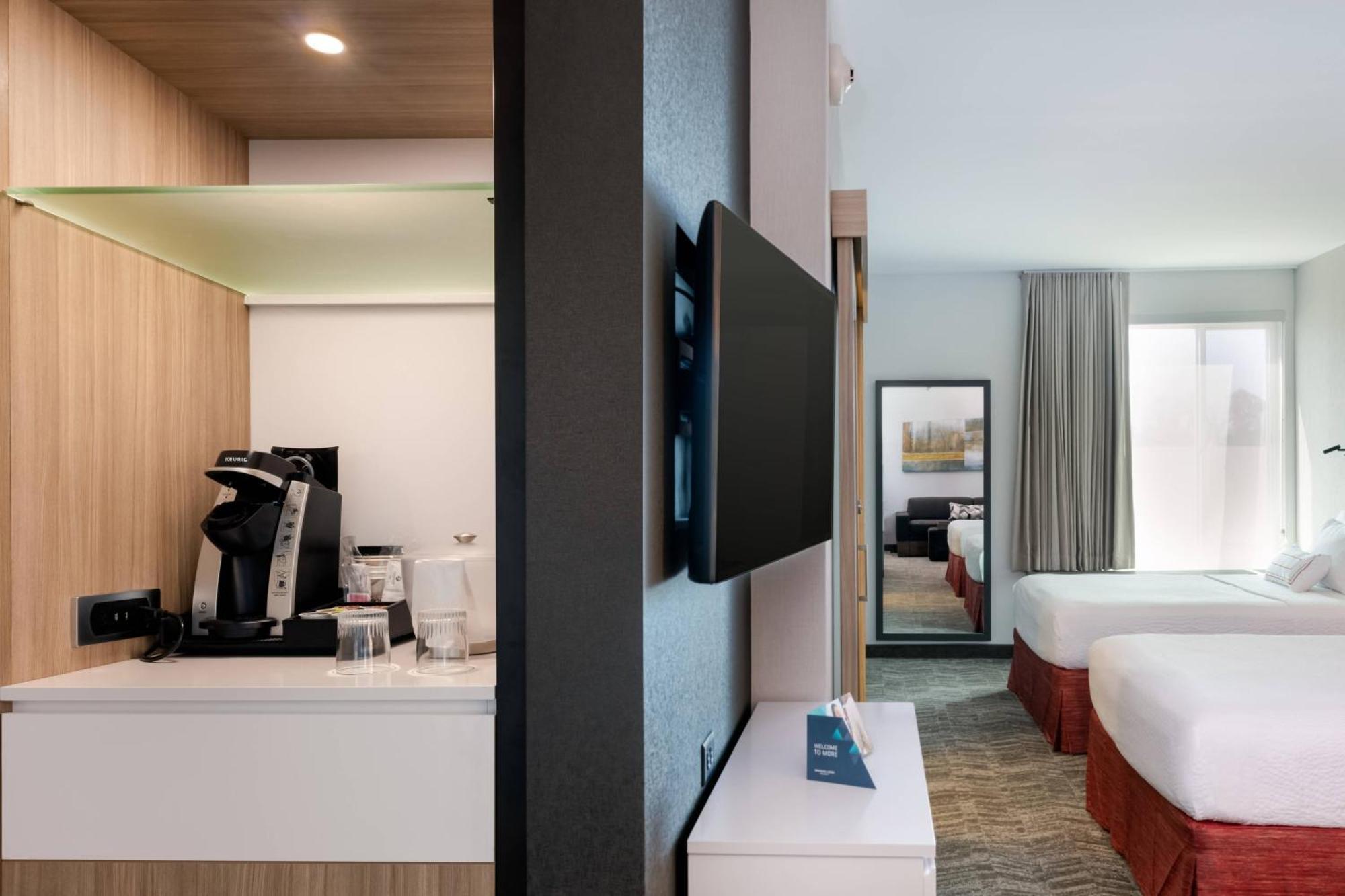 Springhill Suites By Marriott Chattanooga South/Ringgold Exterior foto